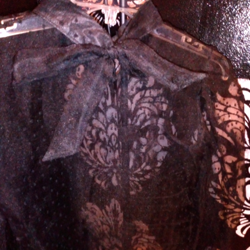 Sheer Blouse